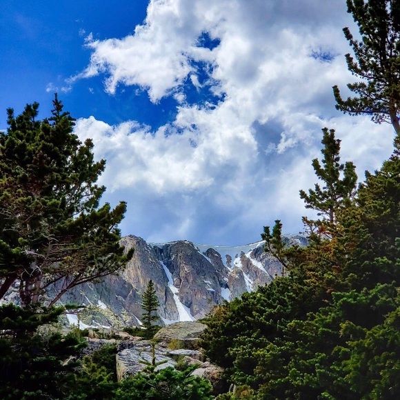 Meet your Posher, Danielle - Picture 1 of 1